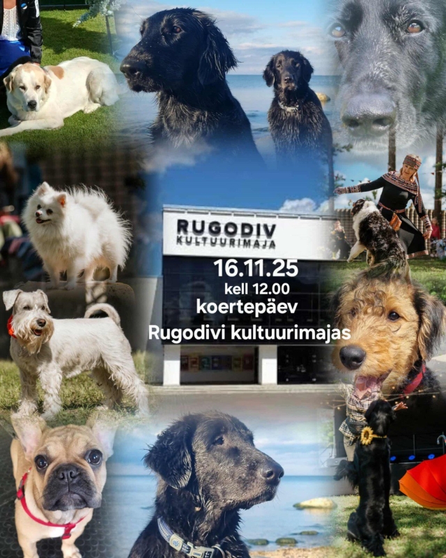 Perepühapäev koos KoerteKool BEST koertega Rugodiv